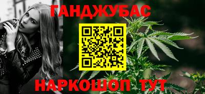 индика Шелехов