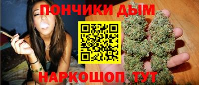 индика Шелехов