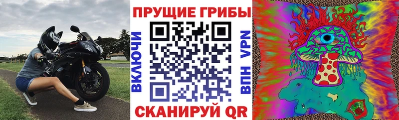 как найти закладки  Павловский Посад  Галлюциногенные грибы прущие грибы 