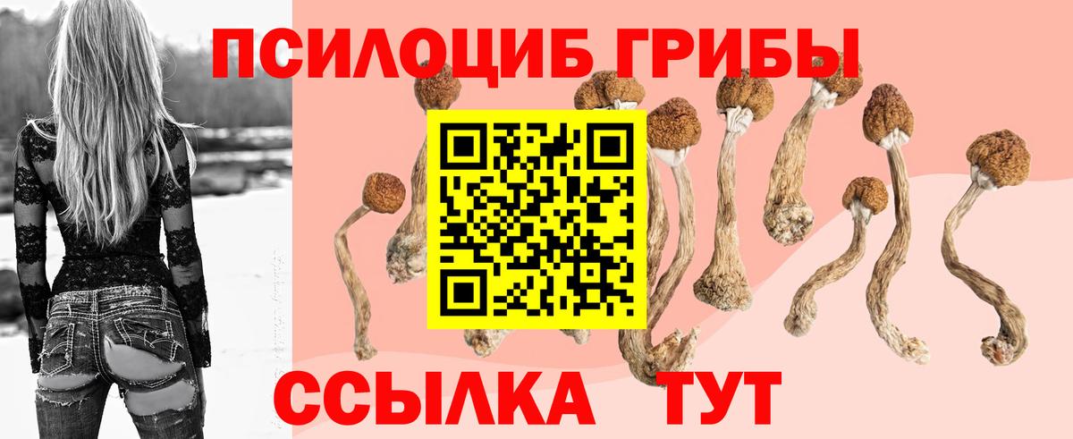 Галлюциногенные грибы ЛСД Павловский Посад