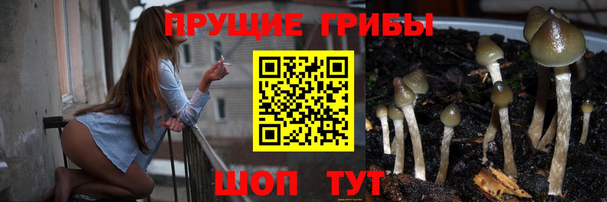 Галлюциногенные грибы ЛСД  Псилоцибиновые грибы прущие грибы  Павловский Посад  Вход с VPN 